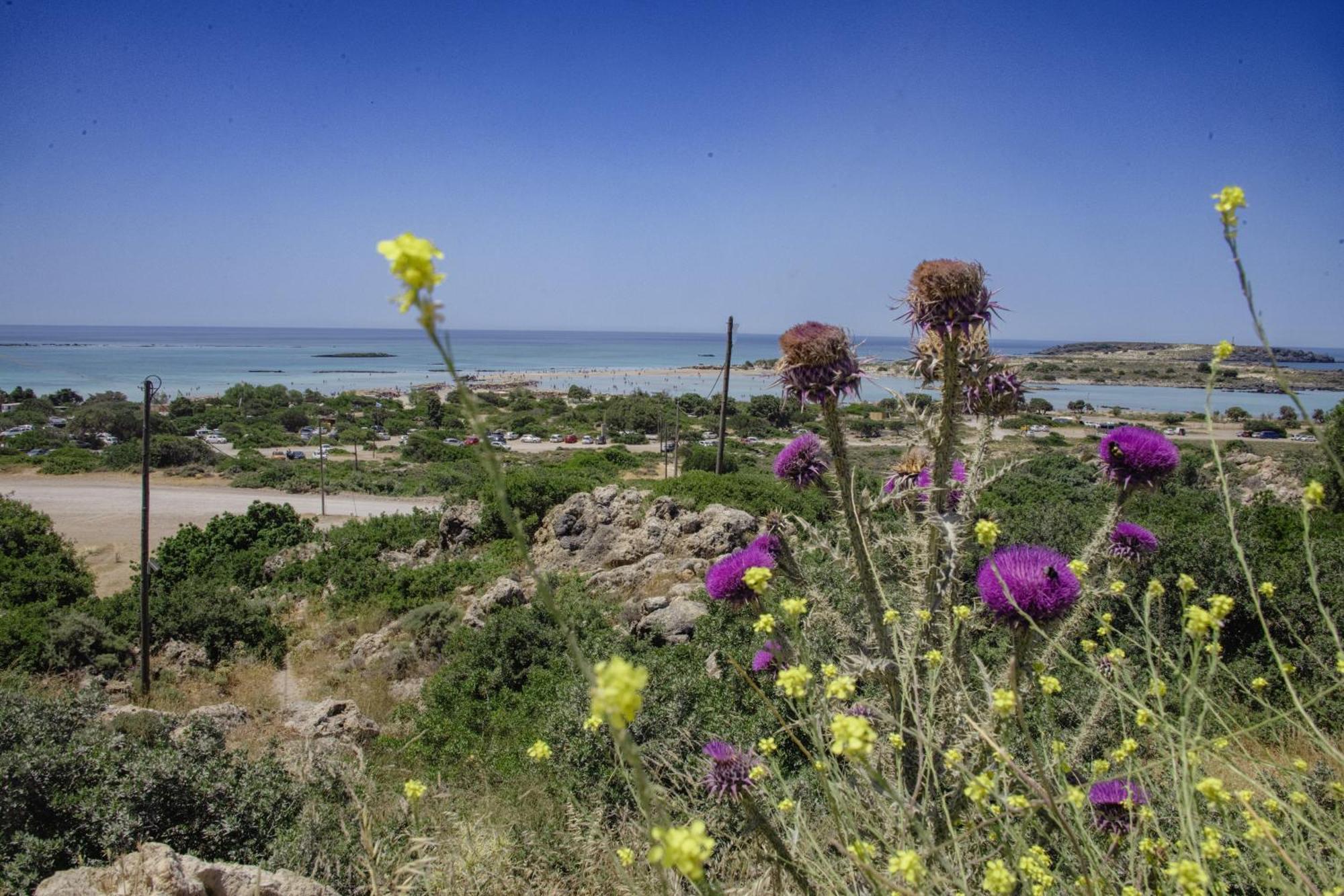 Villa Demetra Kíssamos Pokoj fotografie